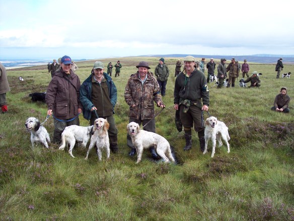 5 grand-children of the great IntFTCh Gardenfield Warrior: G Dixie, 2 Stanedges with Daryl Edwards, G Dave and Stanedge Delight with Lee Cooper.