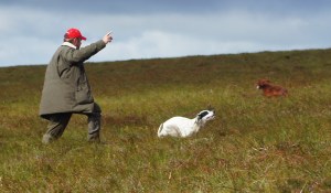 Tinka running in the 2011 Irish Championship at Kinnitty.