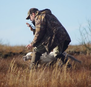 One step at a time - those pheasants can be tempting !
